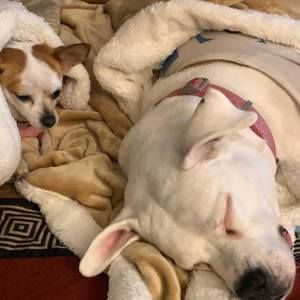 Meet your Posher, Andre